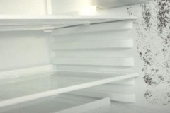 How to safely and effectively remove mold from the refrigerator at home?