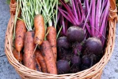 Rules and tips on how to save beets and carrots for the winter