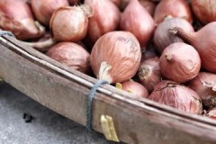 Saving the harvest: why onions rot during storage and how to avoid it?