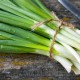 Cara menyimpan bawang hijau segar di dalam peti sejuk dalam jangka masa yang lama