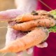 Popular ways to store carrots in the cellar