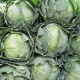 Useful information: when should you store cabbage for the winter?