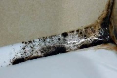 How to easily, quickly and effectively remove mold in the bathroom with a sealant?