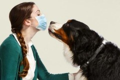 Tips from experienced dog handlers on how to remove the smell of a dog in an apartment