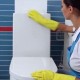 What do you need to know about a toilet cleaning schedule?